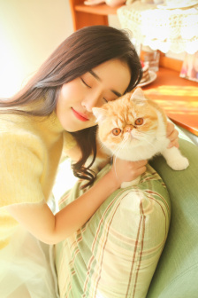 玲珑狼心
